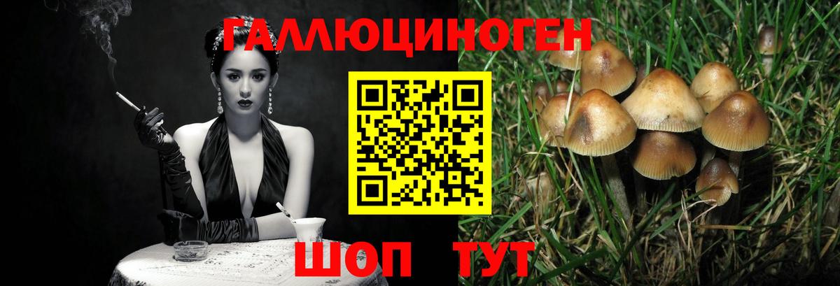 Псилоцибиновые грибы GOLDEN TEACHER  Псилоцибиновые грибы мухоморы  Вход с VPN  Ярцево 